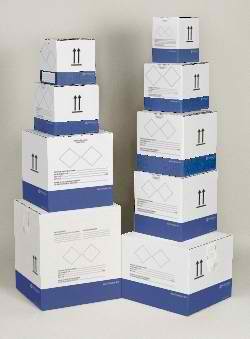 BIOTHERM Product